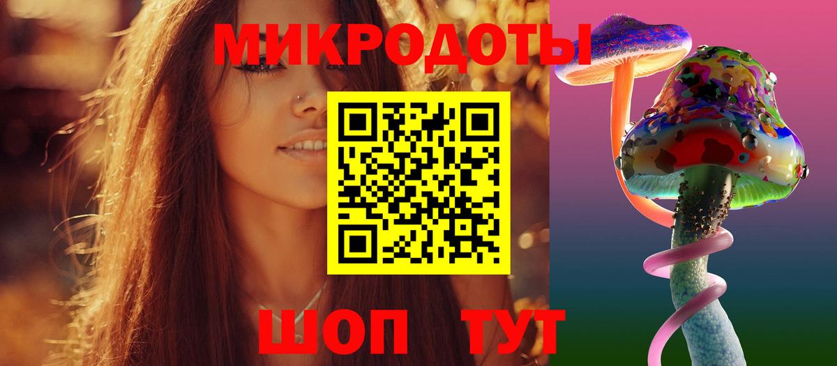 Псилоцибиновые грибы Psilocybe  Вход с VPN  Биробиджан 