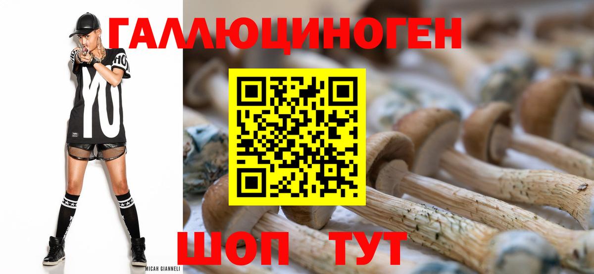 Псилоцибиновые грибы Cubensis Биробиджан